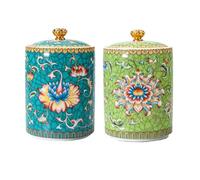 Dxcaicc Ceramic Tea Jar with Lid 2PCS Empty Cans 220ml One of Each of The 2 Different Exquisite Crackle Patterns Colorful Kitchen Sugar Airtight Canister,R