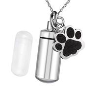 DXEHSEUY Pet Urn Cremation Urn Box Burial Urn Box for Remembrance Dogs and Cats Ashes pendant 2.8x1.1cm