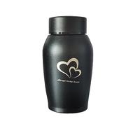 DXEHSEUY Pet Urns Stainless Steel Keepsake Urn Waterproof Pet Ash Urn Ash Container Black