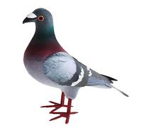 DXEHSEUY Simulation Foam Pigeon Model Party Favors Easter Gifts Artificial Foam Bird 1pc Style A, 1 pc