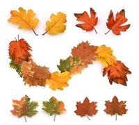 DXTXTJ 24pcs Scattered Autumn Maple Leaves in Autumn Colors, Reusable Artificial Autumn Leaves in Various Shapes for Autumn Parties Wedding Thanksgiving Decorations