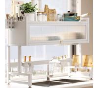 DXYQXL Dish Drying Rack Over Sink, 2-Tier Metal Shelf for Plates & Bowls, Space-Saving Kitchen Storage Solution for Small Spaces