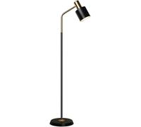 DXYQXL Floor Lamp, Iron Adjustable Standing Light with Foot Switch, Metal Reading Lamp with Baking Paint Shade for Living Room