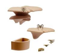 Dybnuhoc Mushroom Spider Decor, Magnetic Natural Holder, Water Bowl with Hiding Space, Jumping Spider Habitat, Accessories with Compact Design, Outdoor Travel for Camping Walking