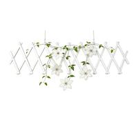 Dybnuhoc Plant Trellis, Extendible Aesthetic Reinforced Frame, Trellis for Climbing Plants Outdoors, for Climbing Plants such as Flowers, Ivy, Roses, Cucumbers on the Wall, Yard, Patio and