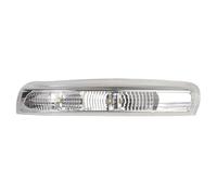 DYDGUTUFB For Chevrolet For Captiva 2007-2016 Car Rear View Mirror Lights Auto Turn Signal Lamp Side Lateral Binker Accessories(Left side)
