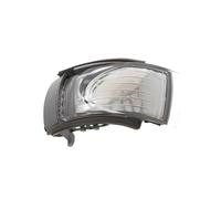 DYDGUTUFB For VW For Beetle 2006 2007 2008 2009 2010 Car Side Rear View Mirror Indicator Light Turn Signal Light 1C0949101E 1C0949102E(left)