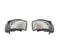 DYDGUTUFB For VW For Beetle 2006 2007 2008 2009 2010 Car Side Rear View Mirror Indicator Light Turn Signal Light 1C0949101E 1C0949102E(Left and Right)