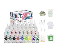 Dye Kit for - DIY Color Pigments, Textile Art Paints, Non-Toxic Bright Colors Pre-filled Bottles | Fun Creative Craft Activity for Kids, Teens
