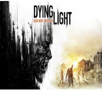 Dying Light PS4 Account