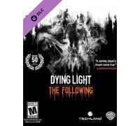 Dying Light: The Following Steam Key GLOBAL