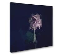 Dying Purple Rose Canvas Print | Gallery Wrapped 30mm Frame Wall Art | 14x14 inches | Ready to Hang | Abstract Floral Picture | Living Room Bedroom Lounge Office