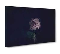 Dying Purple Rose Canvas Print | Gallery Wrapped 30mm Frame Wall Art | 30x20 inches | Ready to Hang | Abstract Floral Picture | Living Room Bedroom Lounge Office