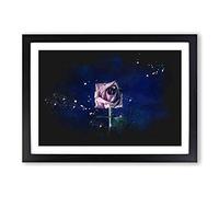 Dying Purple Rose Paint Splash Framed Print | A2 Black Framed Wall Art | Ready to Hang | Modern Floral Picture | Living Room Bedroom Lounge Office