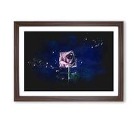 Dying Purple Rose Paint Splash Framed Print | A2 Walnut Framed Wall Art | Ready to Hang | Modern Floral Picture | Living Room Bedroom Lounge Office