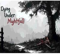 DYING UNDER NIGHTFALL PC Steam CD Key