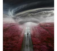 Dylan Fraser The Storm 12" Vinyl Single Etched RSD 2021 NEW