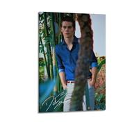 Dylan Obrien 8 Canvas Poster Wall Art Decor Print Picture Paintings for Living Room Bedroom Decoration 12x18inch(30x45cm)
