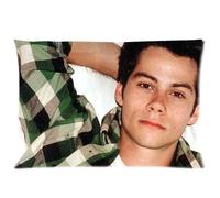 Dylan O'brien Poster Pattern Two Sides Print Custom Zippered Pillowcase Cover Standard Size 20x30 Number-1