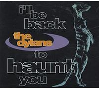 Dylans - Ill Be Back to Haunt You