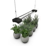 Dymond BoostGro LED Grow Light Full Spectrum Linkable 5000K Daylight + 660nm Red Indoor Plant Lighting Fixture (2 FT, Black)