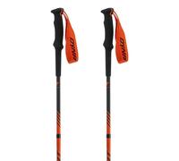 Dynafit Alpine Poles
