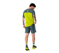 Dynafit Alpine Shorts