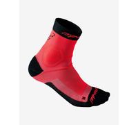 Dynafit Alpine Socks Coral Fluo - L