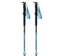 Dynafit Free Vario Poles Silver 105-145 cm Men,Women