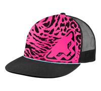 Dynafit Graphic Cap