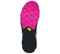 Dynafit Transalper 2 Gore-tex® Trail Running Shoes