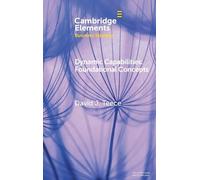 Dynamic Capabilities : Foundational Concepts