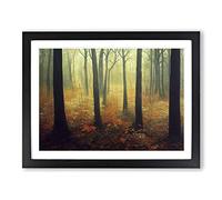 Dynamic Forest Framed Print | A2 Black Framed Wall Art | Ready to Hang | Modern Landscape Picture | Living Room Bedroom Lounge Office
