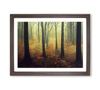 Dynamic Forest Framed Print | A3 Walnut Framed Wall Art | Ready to Hang | Modern Landscape Picture | Living Room Bedroom Lounge Office