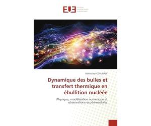 Dynamique des bulles et transfert thermique en ébullition nu Physique, modélisation numérique et observations expérimentales