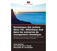 Dynamique des océans dans l'Oc. Atlantique Sud dans les scénarios de changement climatique: Évaluation du volume et du transport de chaleur grâce aux résultats de la simulation numérique