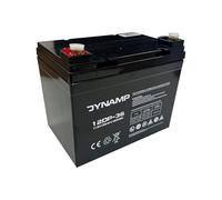Dynamp 12DP-36 Deep Cycle AGM Battery 12V 36Ah - 197 × 130 × 185 mm, Maintenance Free AGM Battery for Leisure, Mobility & Backup Power 11kg