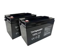 Dynamp 12V AGM Deep Cycle Battery, 110Ah, Pack of 2, for Mobility Scooters and Powered Wheelchairs, Model 12DP-110