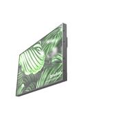 DynaScan DS431LT4 Signage Display Digital signage flat panel 109.2 cm