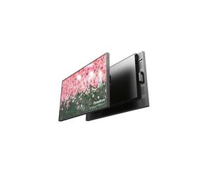 DynaScan DS491LT5-2 49" Fanless High Brightness Display (No Wi-Fi)