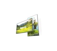 DynaScan DS653LT5-2 65-inch 4000-nit high-brightness display (no Wi-Fi)