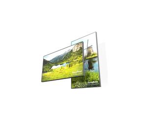 DynaScan DS653LT5-2 65-inch 4000-nit high-brightness display (no Wi-Fi)