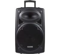 DYNASONIC - Dynapro 15 Inch (Latest Generation) Portable Speaker Professional Audio System Power 800W - USB Bluetooth FM Radio Microphones, Black - Autonomy 4-5h