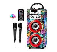 DYNASONIC Karaoke Machine with 2 Microphones, Portable Bluetooth Speaker with Lights, USB and SD Reader, Gift for Children (Model 21 lights)