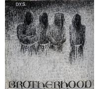 DYS "BROTHERHOOD" VINYL LP NEW