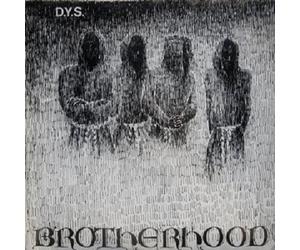 DYS "BROTHERHOOD" VINYL LP NEW