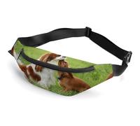 Dyscalibro Waist Bag, Cavalier King Charles Spaniel Bumbag, Adjustable Fanny Pack for Running Walking Hiking