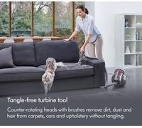 Dyson Big Ball Animal 2 Plus Cylinder Vacuum Cleaner