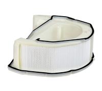 Dyson Cy22 Cinetic Big Ball Post Motor Filter 967374-04 Genuine Part