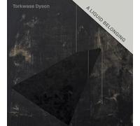 Dyson, Torkwase - Torkwase Dyson: A Liquid Belonging